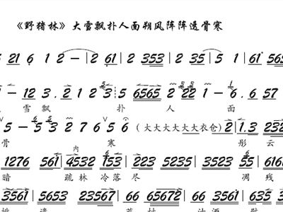 大雪飘扑人面朔风阵阵透骨寒 京剧 野猪林 选段